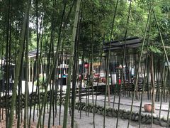 -白鹭湾湿地公园