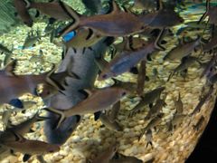 -成都浩海立方海洋公园