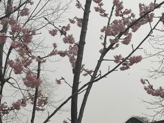 -堤角公园