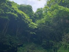 -石台牯牛降景区