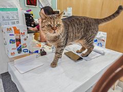 -纳吉亚猫专科动物医院博雅分院