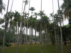-中国科学院西双版纳热带植物园