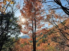 -南京市江宁方山