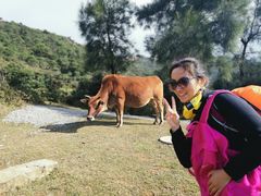 -大姆山草场