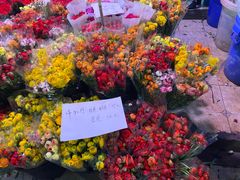 -三圣花乡旅游区