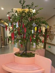 -郑州万安妇产医院