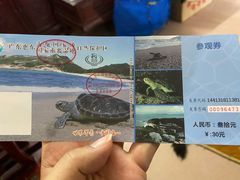 -广东惠东海龟国家级自然保护区
