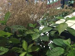 iphone_upload_pic-MIKAKU(万达广场上海宝山店)