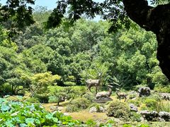 -杭州植物园