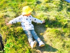 -前小桔亲子创意农场·草莓采摘·露营烧烤