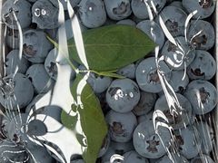 -西郊国际农产品交易中心