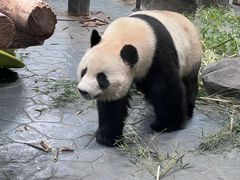 -上海野生动物园