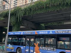 -帕帕拉兹宠物(亚洲旗舰店)