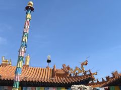 -大召无量寺