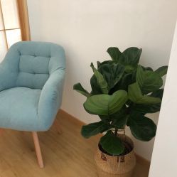 -盼兮·日式美睫沙龙