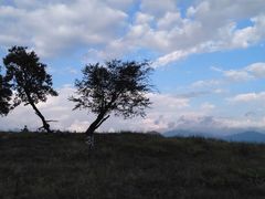 -硗碛藏寨·神木垒景区