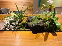 -微热山丘(台北民生公园门市店)