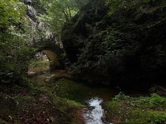 -牛背梁国家森林公园