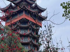 -塔子山公园