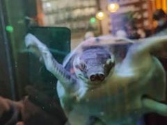 -长赢养生(平度店)