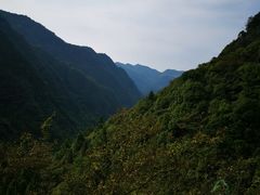 -娄山关景区-大尖山战斗遗址