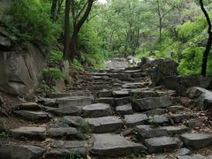 -阳台山自然风景区