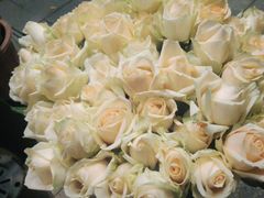 -道合堂·中式按摩·spa(民治店)