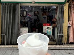 -洪馨椰子
