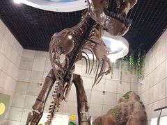-诸城市恐龙博物馆