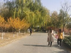 -永定河休闲森林公园