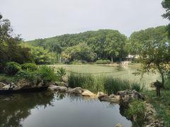 -河南省黄河迎宾馆