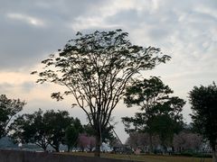 -洲头咀公园