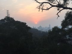 -金鸡山公园
