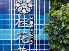 -花溪公园