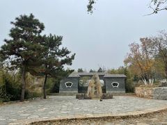 -阳台山自然风景区