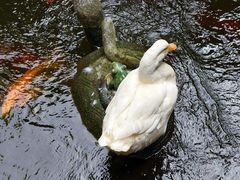 -北园酒家(小北路店)