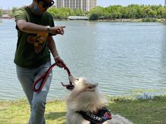 -南翔镇银翔湖公园
