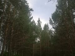 -塞罕坝国家级自然保护区