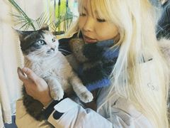 -天地無用GAME BAR