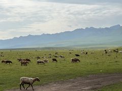 -新疆那拉提国家旅游度假区