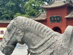 -洛阳白马寺