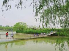 -杨柳青庄园