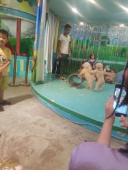 -酷嗒动物文化乐园(cutezoo西溪乐天城店)