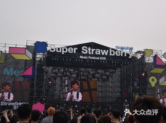 30号上海草莓音乐节，没下雨，基本都是年轻人～去的时