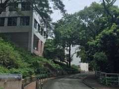 -香港大学