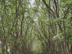 -汤阴县羑里周易博物馆