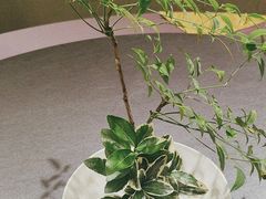 -千禧万福汉亭舫·船舫苏宴