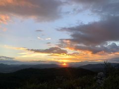 -长虫山生态公园风景林