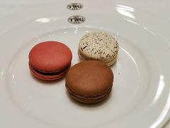 -TWG Tea(台北101购物中心沙龙及精品门市)