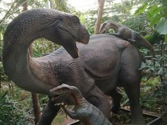 -呀路古热带植物园-恐龙馆